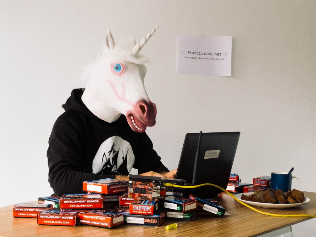 Un homme avec une tête de licorne devant un ordinateur et un tas de briques internet