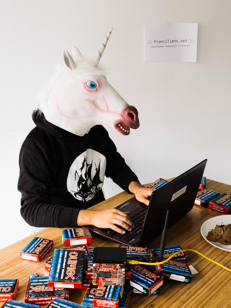 Un homme avec une tête de licorne devant un ordinateur et un tas de briques internet